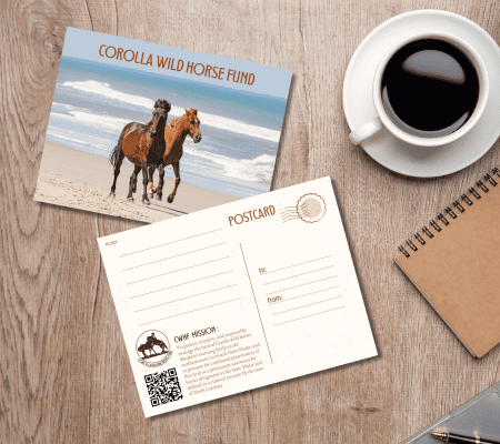CWHF Post Card 001