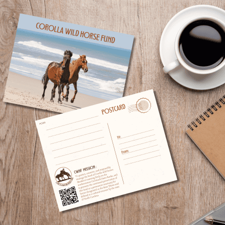 CWHF Post Card 001