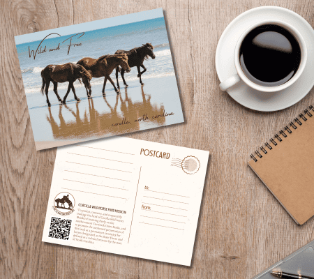 CWHF Post Card 002