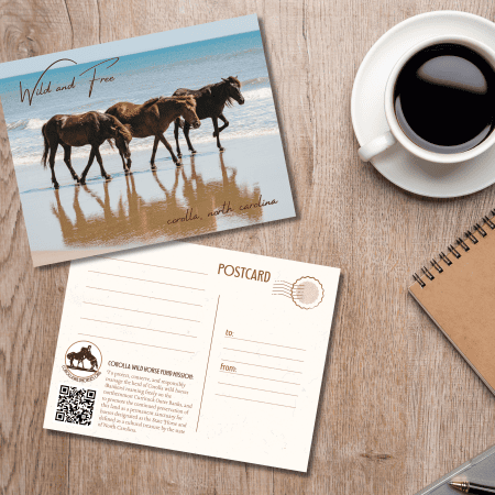 CWHF Post Card 002