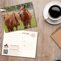 CWHF Post Card 003
