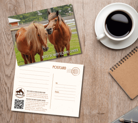 CWHF Post Card 003