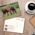 CWHF Post Card 004