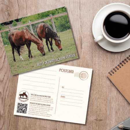 CWHF Post Card 004