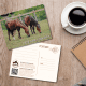CWHF Post Card 004