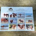 2027 CWHF Calendar