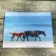 2027 CWHF Calendar