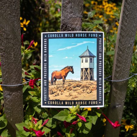 Protect and Preserve Sticker
