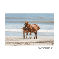 5x7 CWHF #1