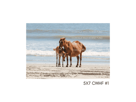 5x7 CWHF #1