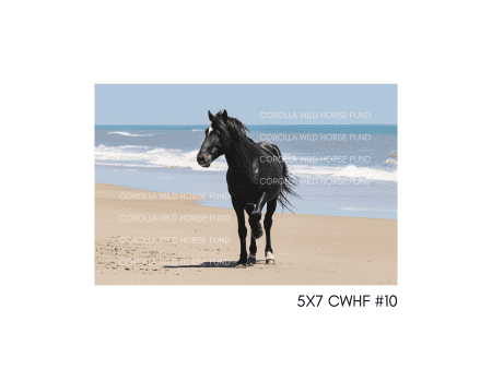 5x7 CWHF #10