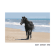 5x7 CWHF #10