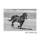 5x7 CWHF #26