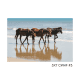 5x7 CWHF #3