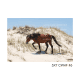 5x7 CWHF #6