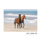 5x7 CWHF #9