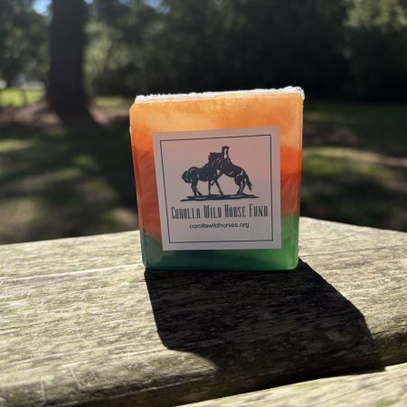 Autumn Ridge Soap
