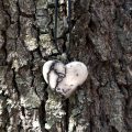 Valentine Heart Pendant